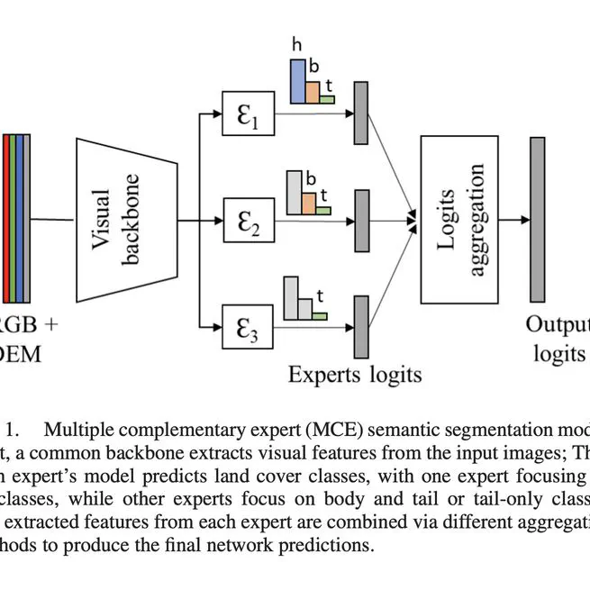 Land Cover Mapping From Multiple Complementary Experts Under Heavy Class Imbalance